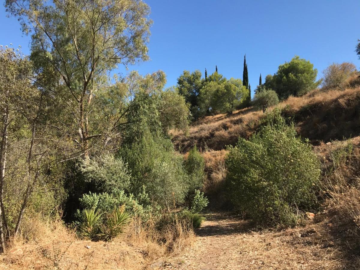 Studio Views Apartment, Cortijo Fruitful Hills Malaga Bagian luar foto