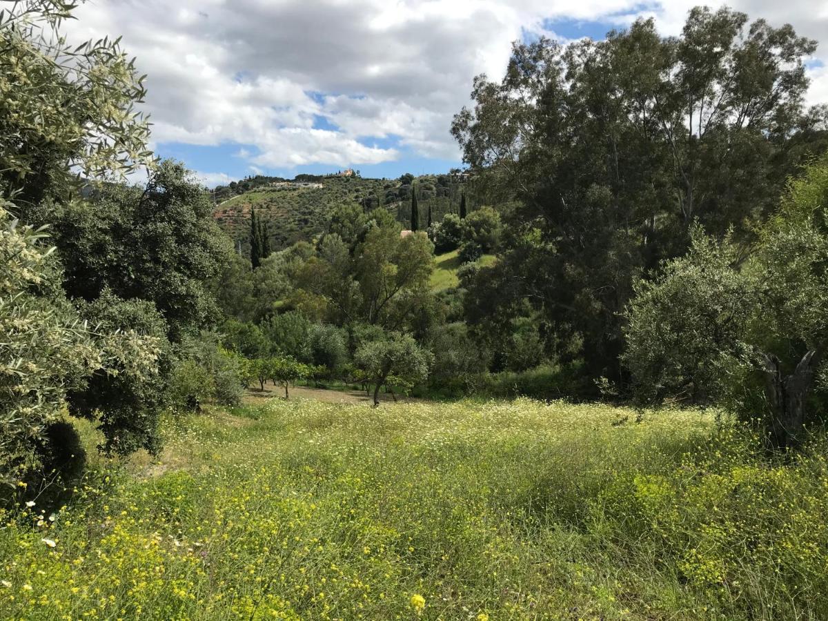 Studio Views Apartment, Cortijo Fruitful Hills Malaga Bagian luar foto