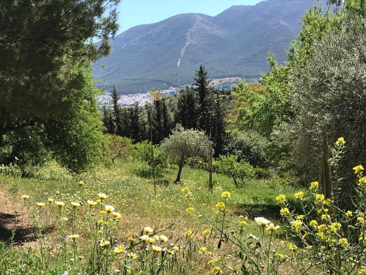 Studio Views Apartment, Cortijo Fruitful Hills Malaga Bagian luar foto